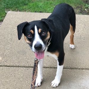 Meet your Posher, Jacob